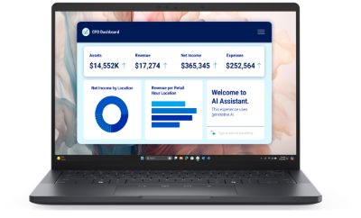 Dell Pro Premium 13 PA13250, 13.3 ", FHD+, Anti-glare, Intel Core Ultra 7, 266V, 16 GB, LPDDR5x, Solid-state drive capacity 512 GB, Intel Arc Graphics, Windows 11 Pro, Keyboard language English, Keyboard backlit, Warranty 36 month(s), Battery warranty 12 month(s)